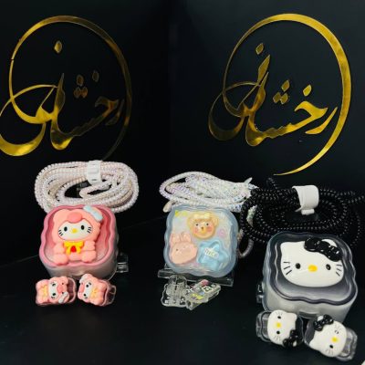 محافظ شارژر 20w