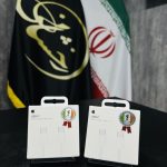 کابل آیفون ایرلندی PD